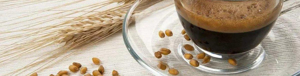 Orzo